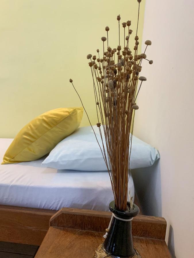 保萨达拉奈酒店 伊塔卡雷 外观 照片